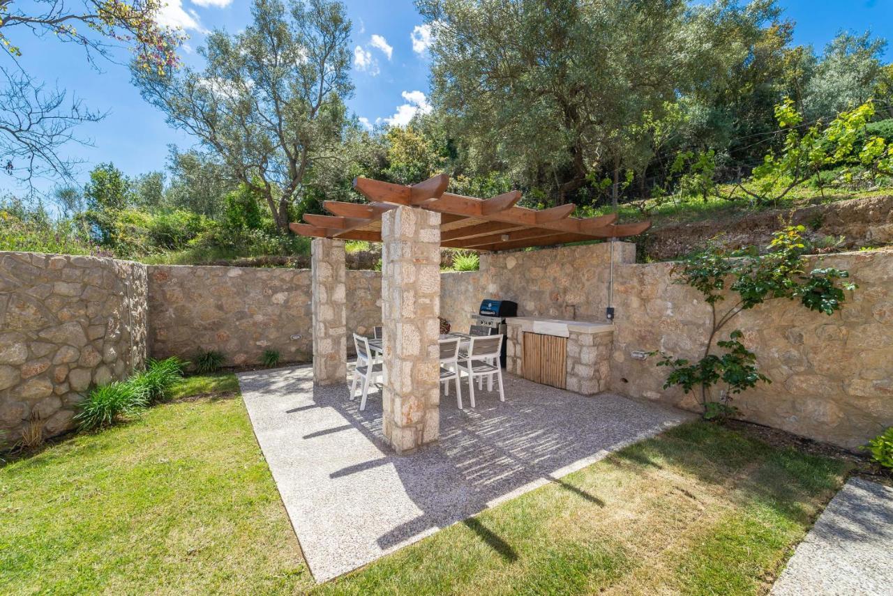 31 Blue Ionian Villas Apolpaina Exteriér fotografie